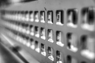 开云体育网站-青少年体质监测结果区域对比研究，青少年健康体质检测中心