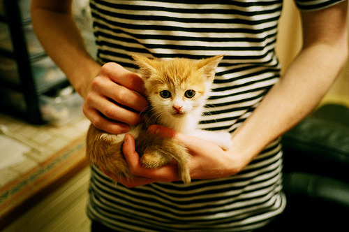 开云体育官网上-CBA年轻球员表现超预期 教练组给予高度评价，cba最年轻出场记录