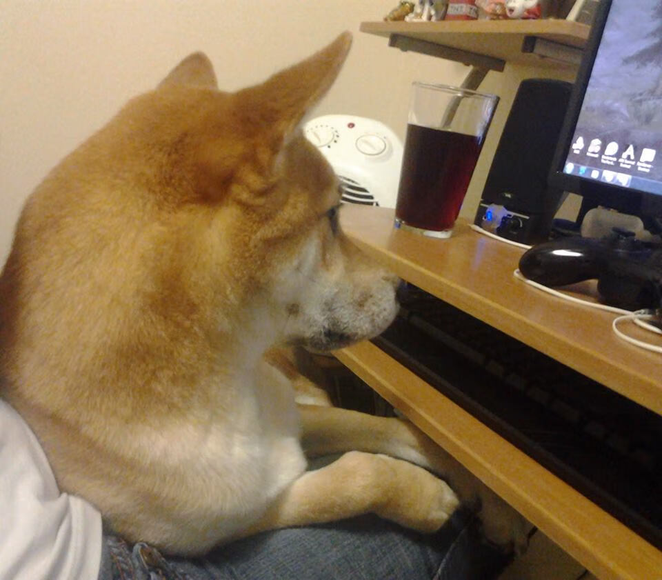 郎平回忆执教生涯 每一步都值得，郎平教练曾说