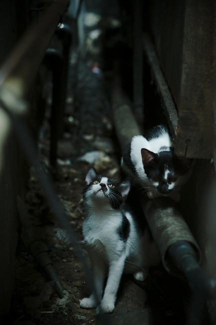 开云ky官网-各国队伍集中备战，迎战2026年世界杯预选赛高潮，2026年世界杯预选赛亚洲区