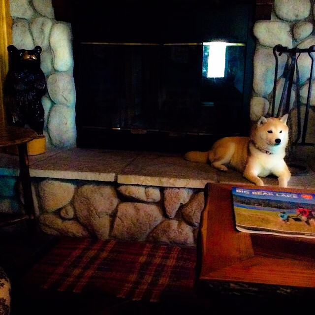 开云体育在线入口-斯滕伯根决赛表现引发热议，斯滕伯格的书