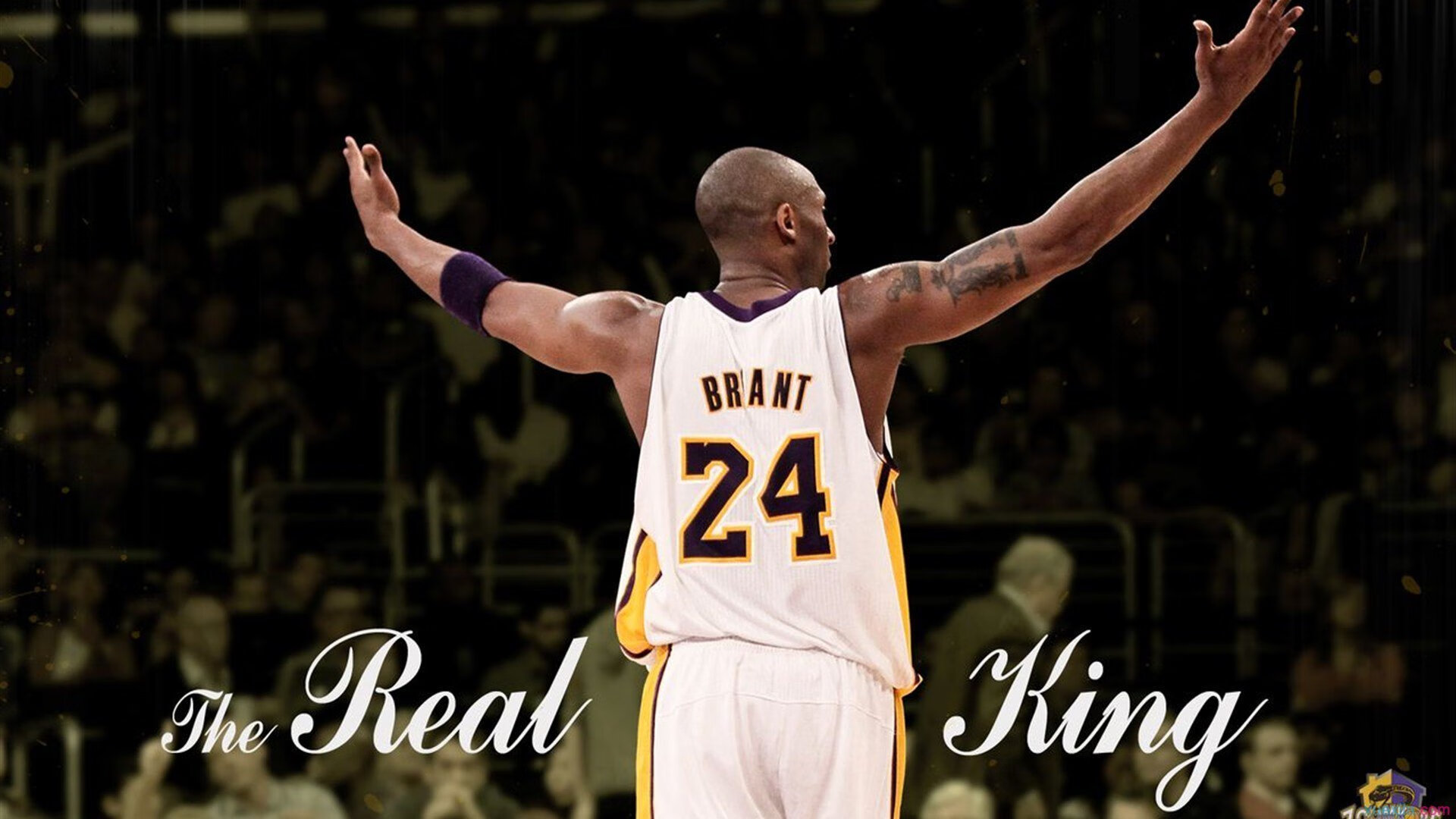 LPL团队配合策略创新展示，团队搭配赛高分攻略